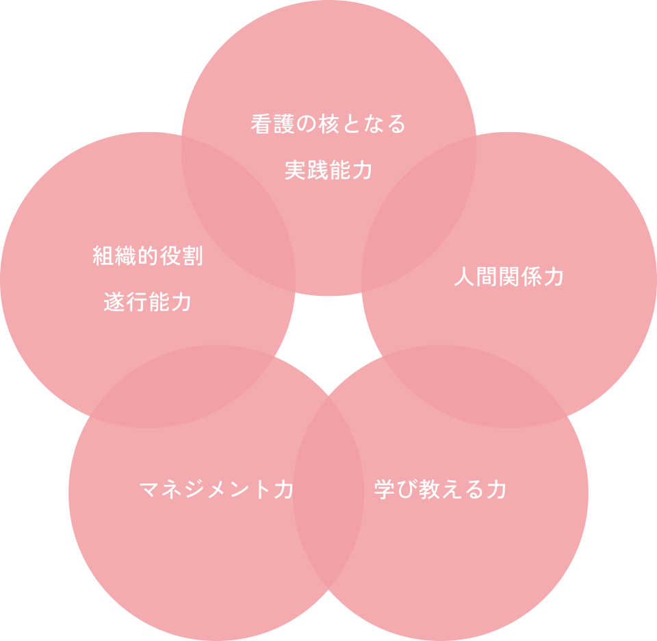 看護の核となる実践能力、人間関係力、学び教える力、マネジメント力、組織的役割遂行能力